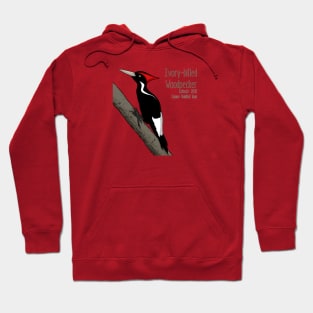 Extinct Species: Ivory-billed Woodpecker - UPDATED Hoodie